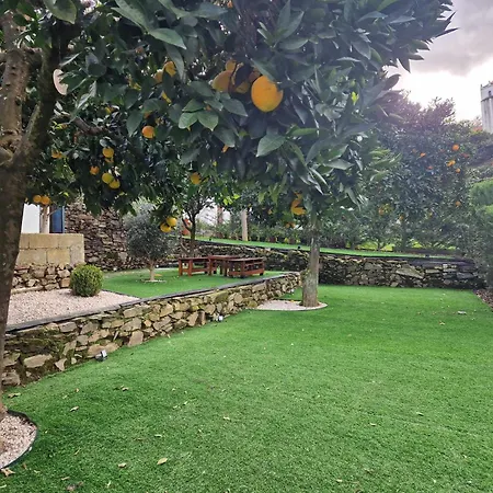 Дом отдыха Casa Da Padaria *