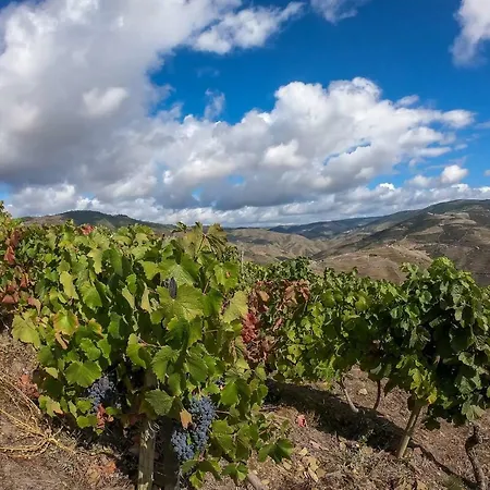 Casa Da Padaria Σπίτι διακοπών
