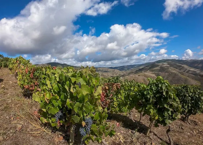 Casa Da Padaria Feriehus